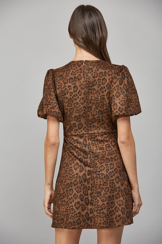 Wild Elegance Bow Detail Dress