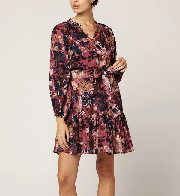 Cleobella Elvia Print Mini Dress in bergamo