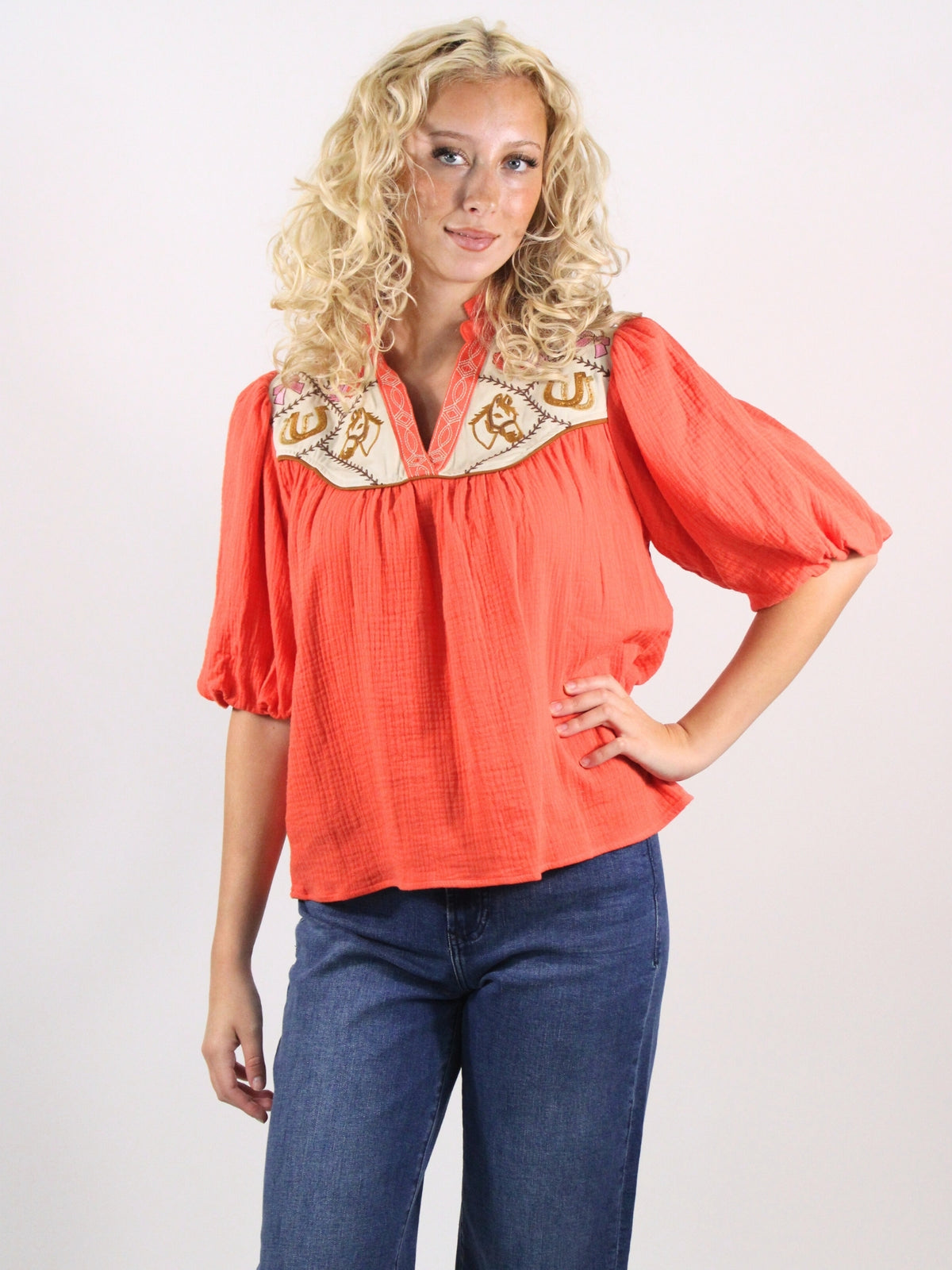 Puff Sleeve Embroidered Top