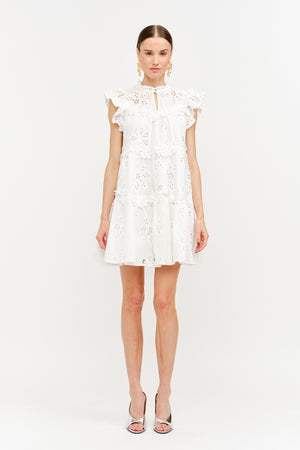 Ruffle Trim Floral Eyelet Babydoll Mini Dress