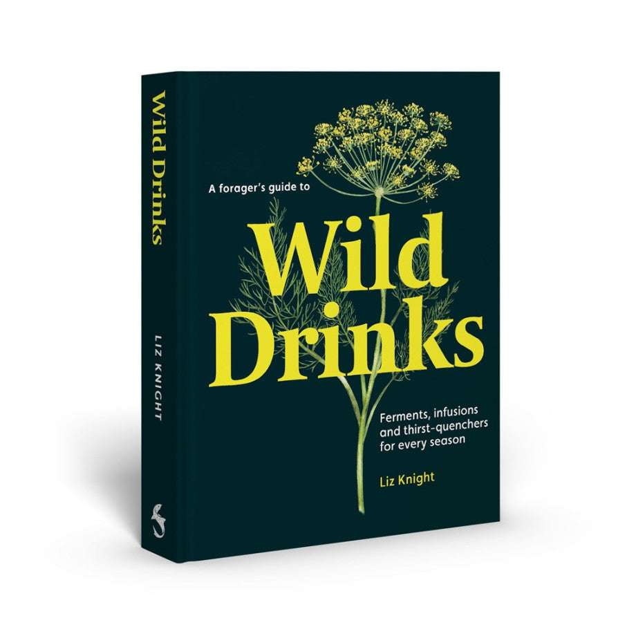 Forager's Guide To Wild Drinks