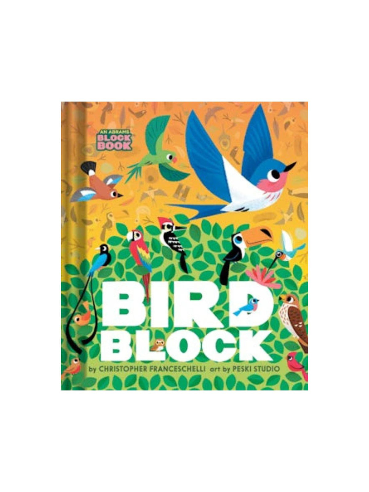 Birdblock Board Book