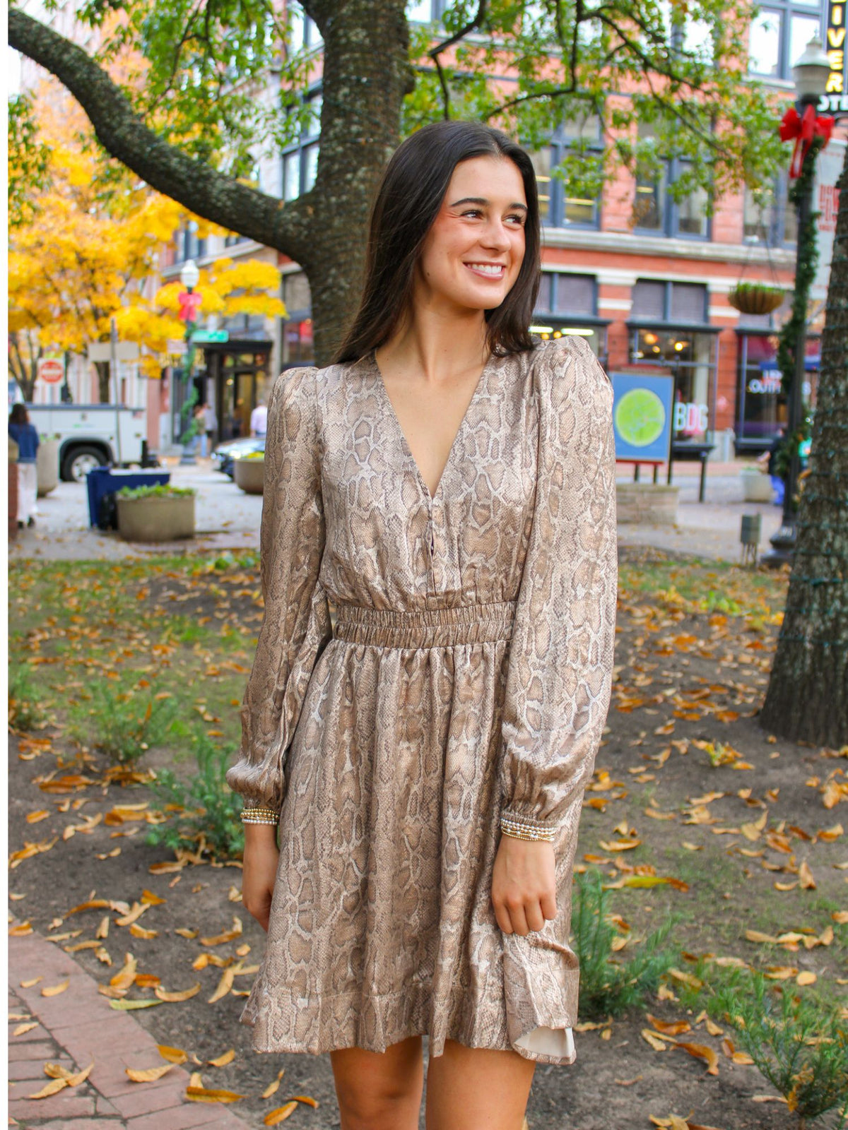 Python Radiance Deep-V Dress