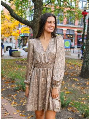 Python Radiance Deep-V Dress