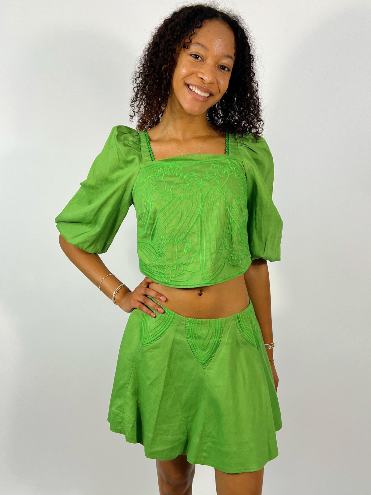 Elena Embroidered A-Line Mini Skirt