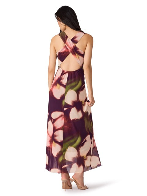 Steve Madden Rylen Maxi Dress Blurry Floral