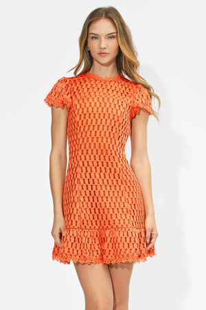 Adelyn Rae Kayla Flutter Sleeves Lace Mini Dress orange