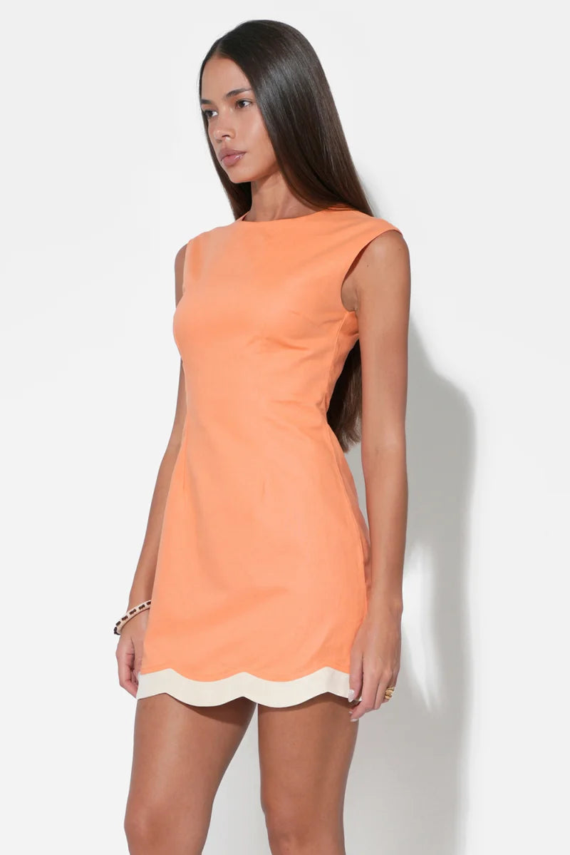 Adelyn Rae Melody Scalloped Hem Sheath Dress tangerine cream 