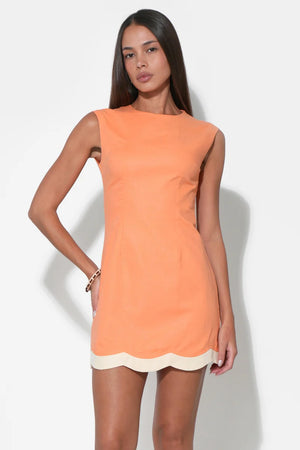 Adelyn Rae Melody Scalloped Hem Sheath Dress tangerine cream 
