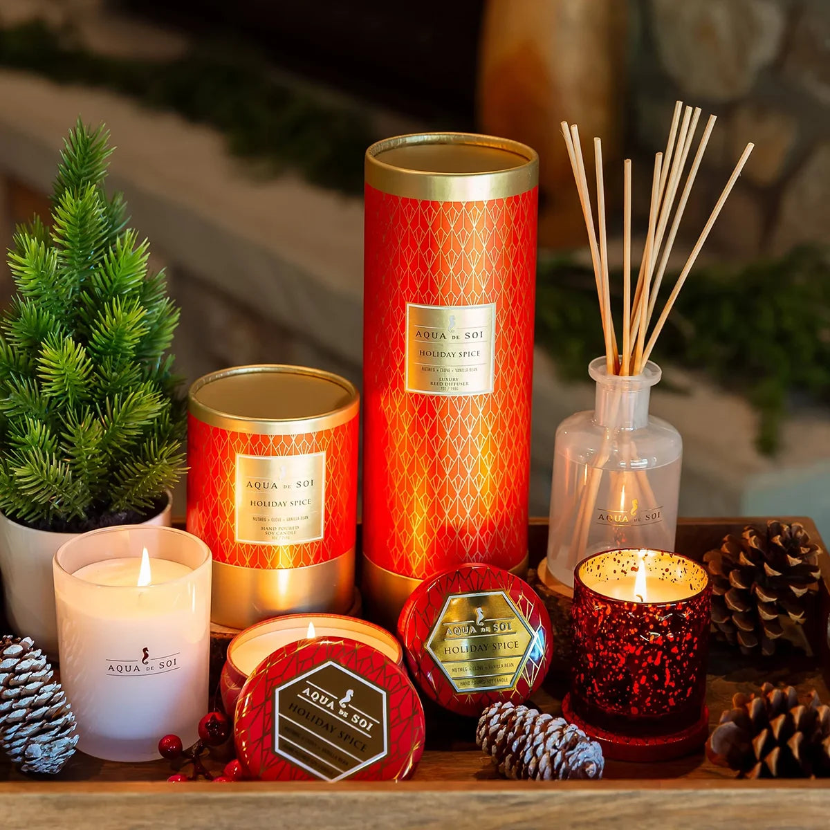 Aqua de SOi Holiday Spice Travel Tin Candle 9oz