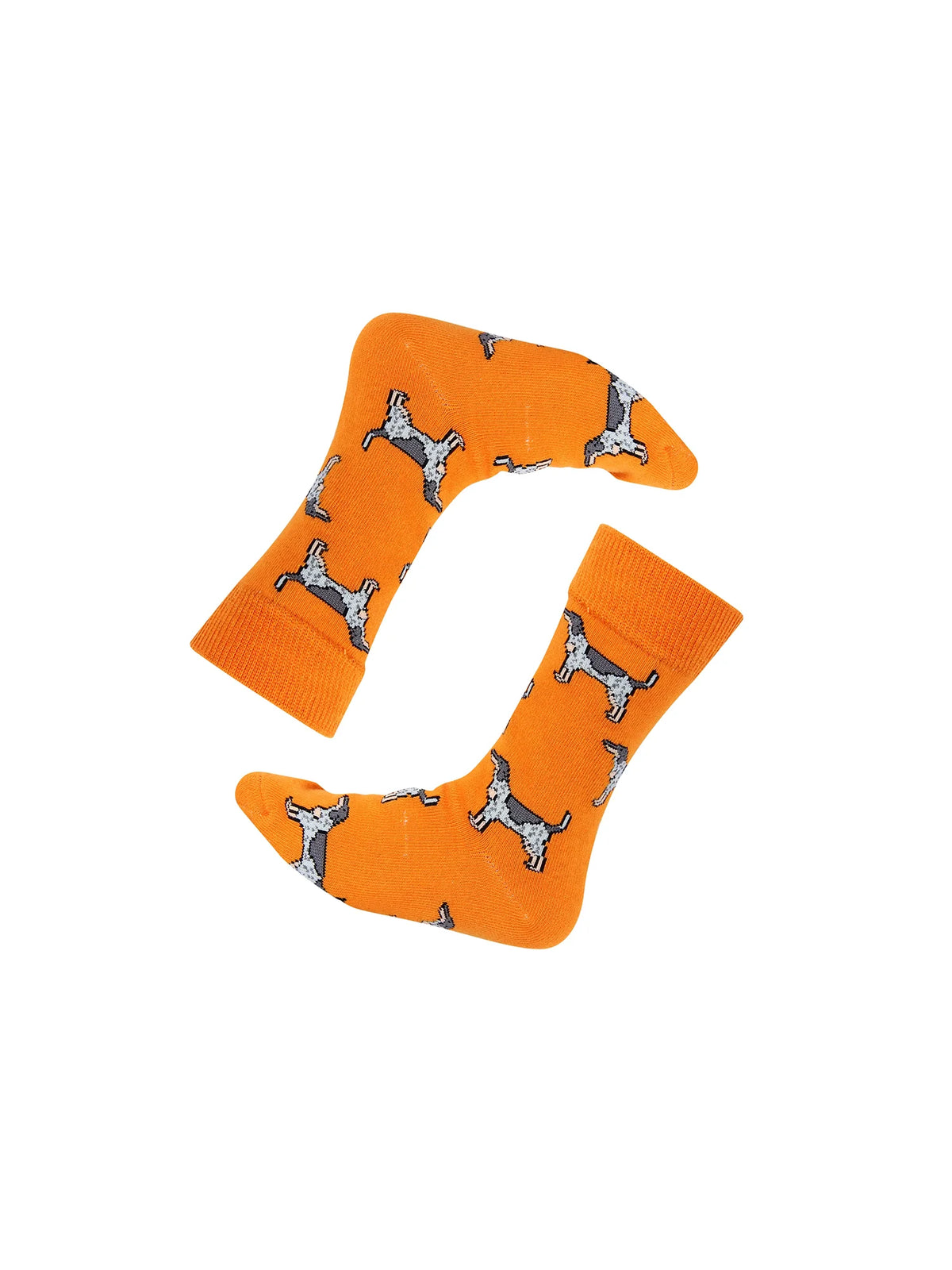 Barrel Down South Kids Tennessee Smokey Dog Coonhound Orange Crew Socks