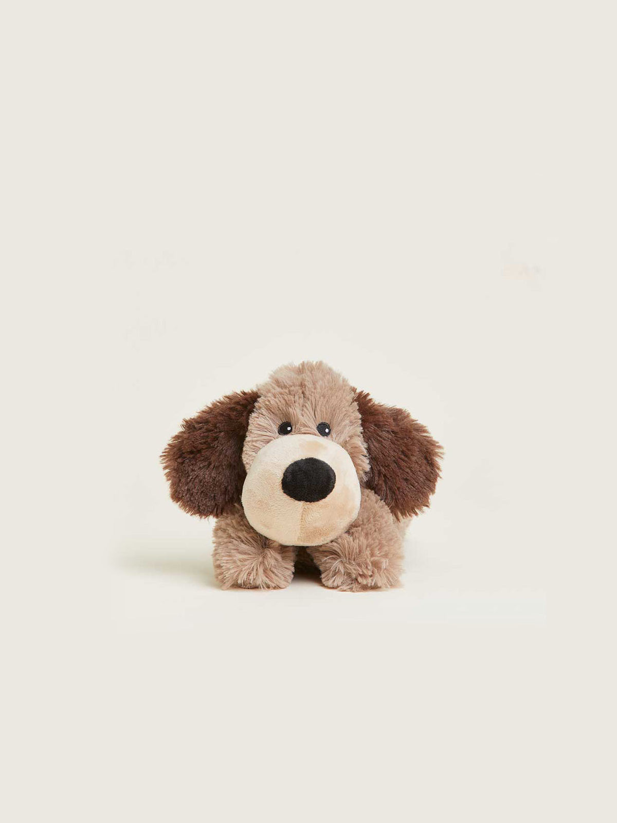 Brown Dog Warmies Junior