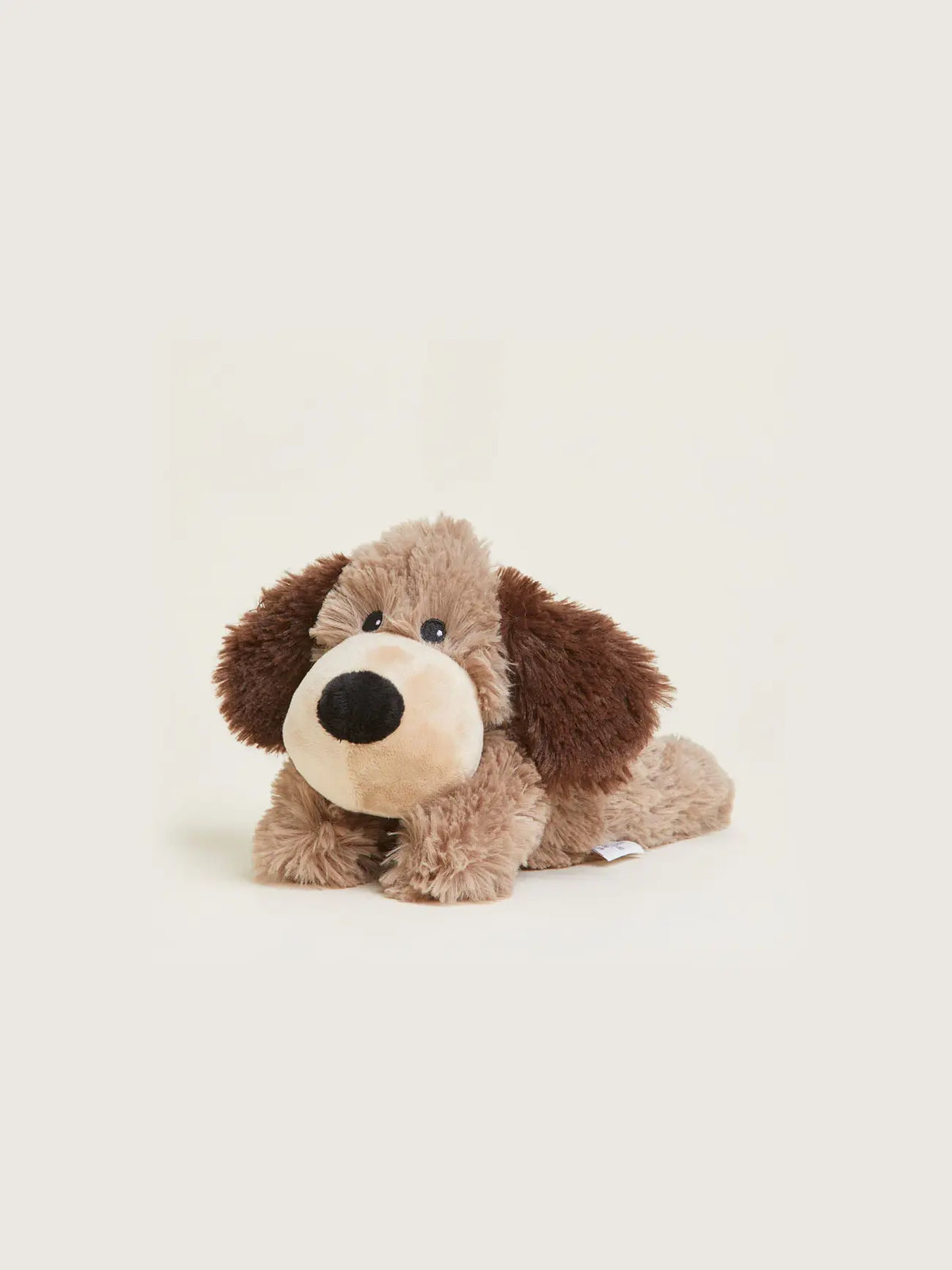 Brown Dog Warmies Junior