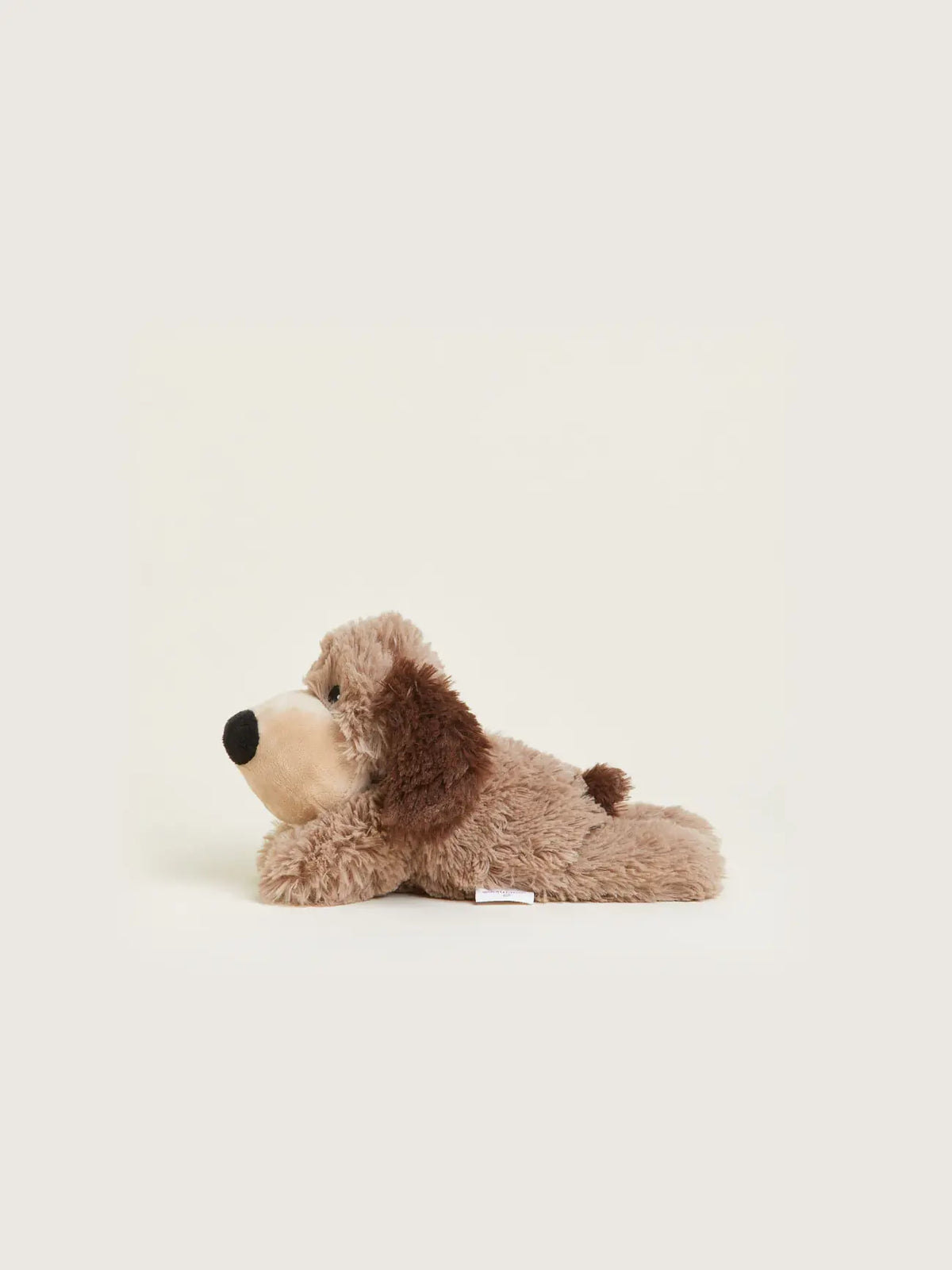 Brown Dog Warmies Junior