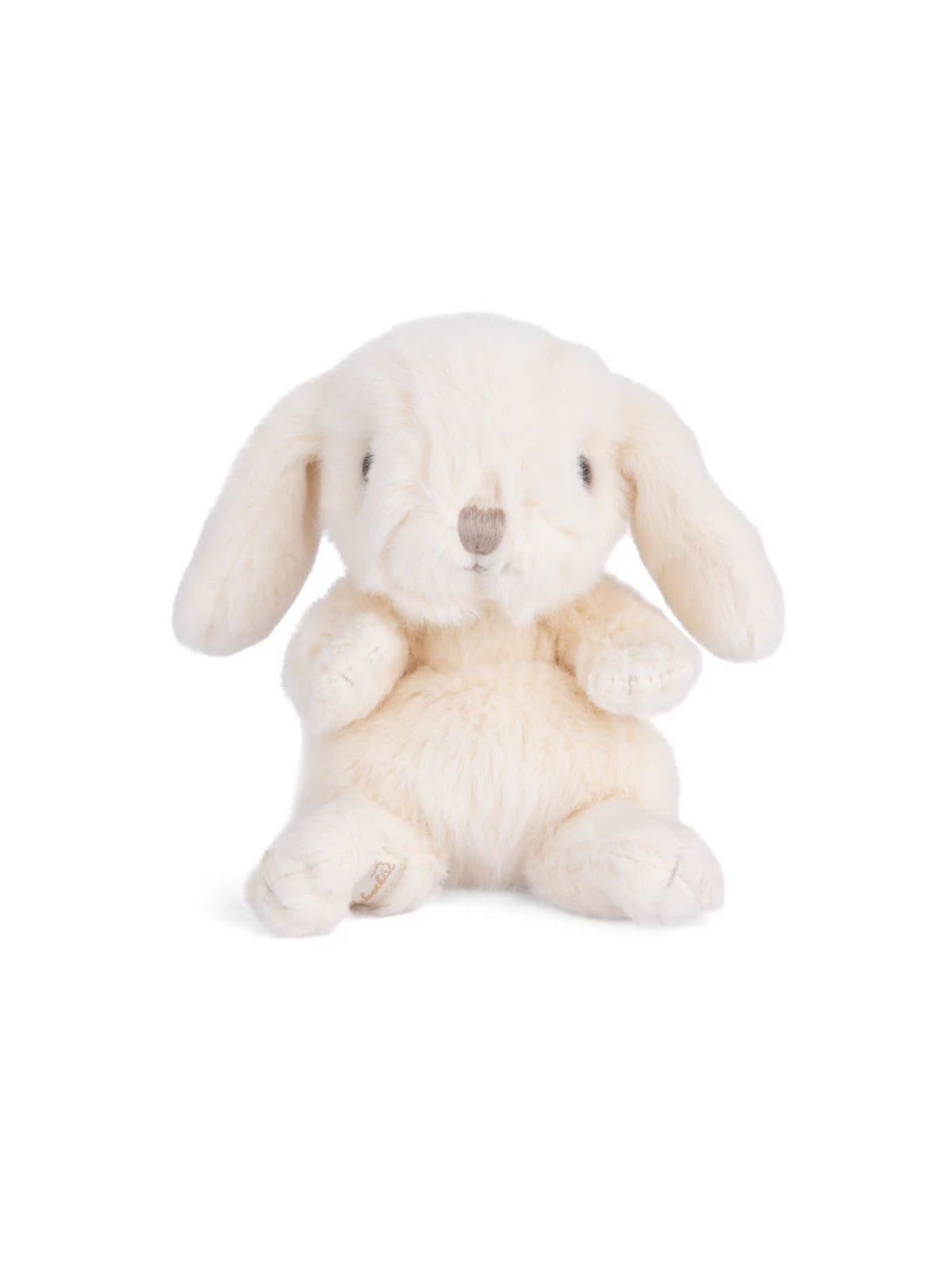 Small Kanina Rabbit