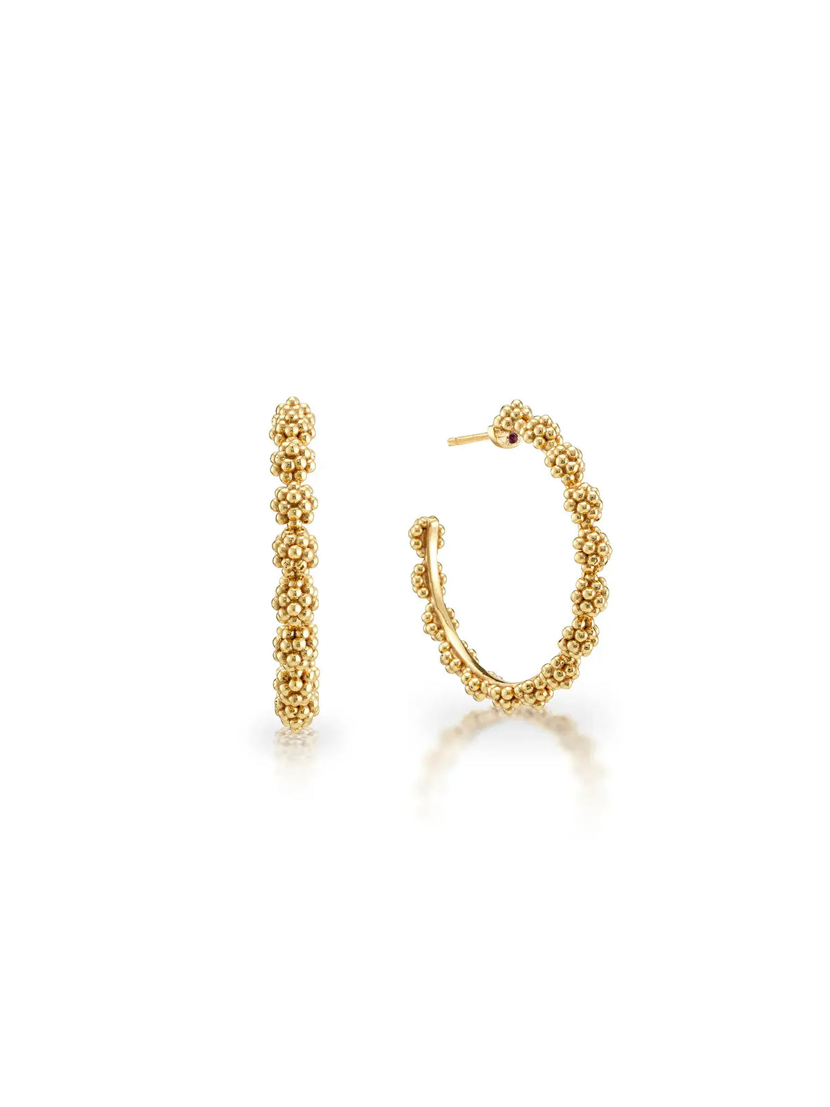 Capucine De Wulf Berry Icon Medium Gold Hoop Earrings