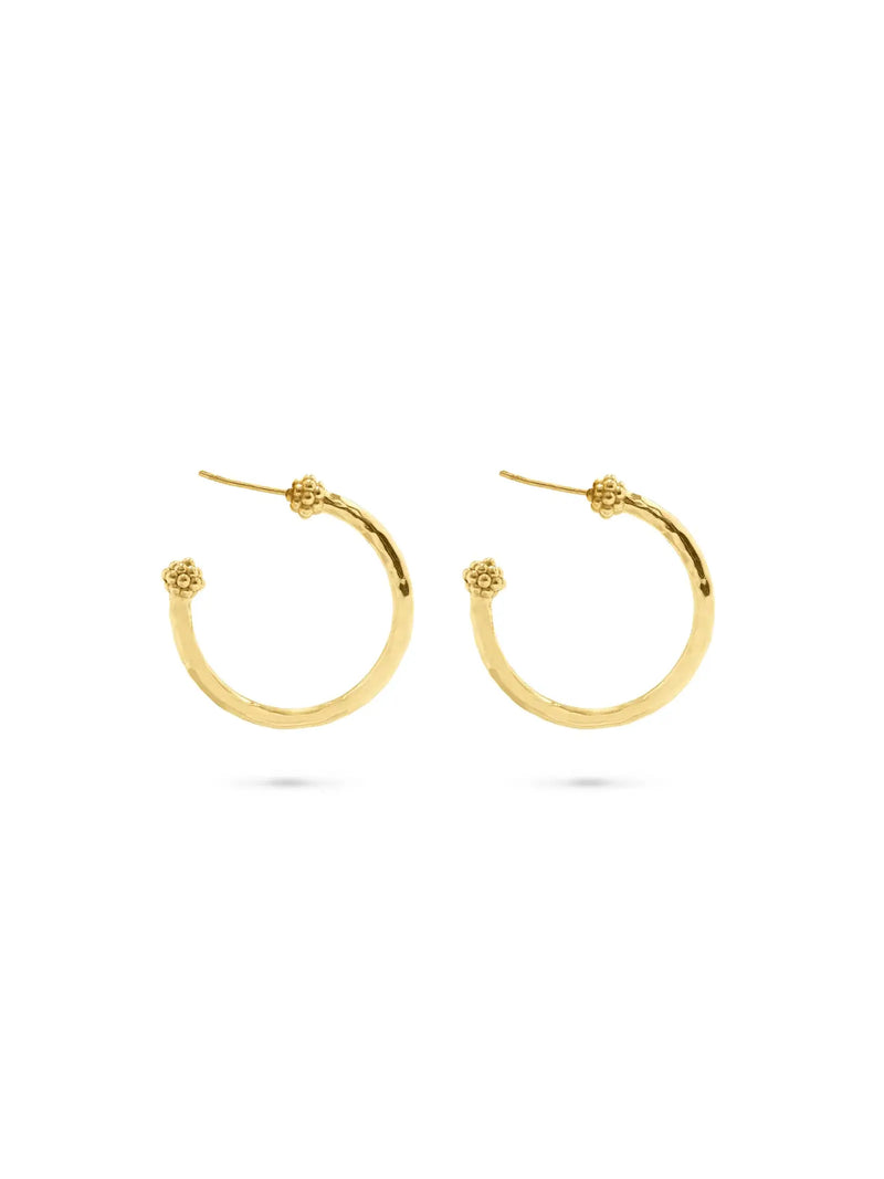 capucine de wulf berry medium hoop earrings in 18k gold