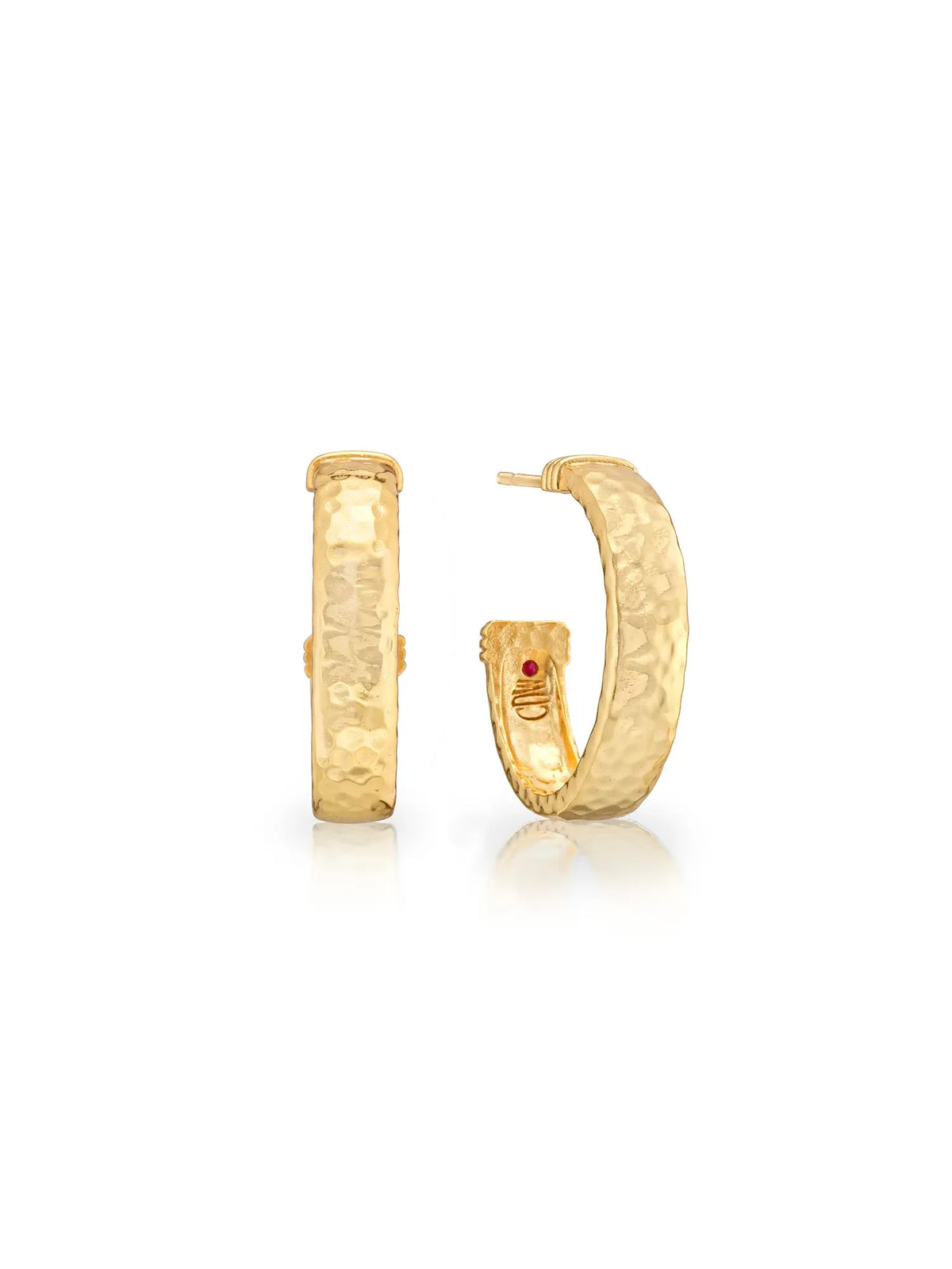 Capucine De Wulf Cleopatra Classic Medium Gold Hoop Earrings