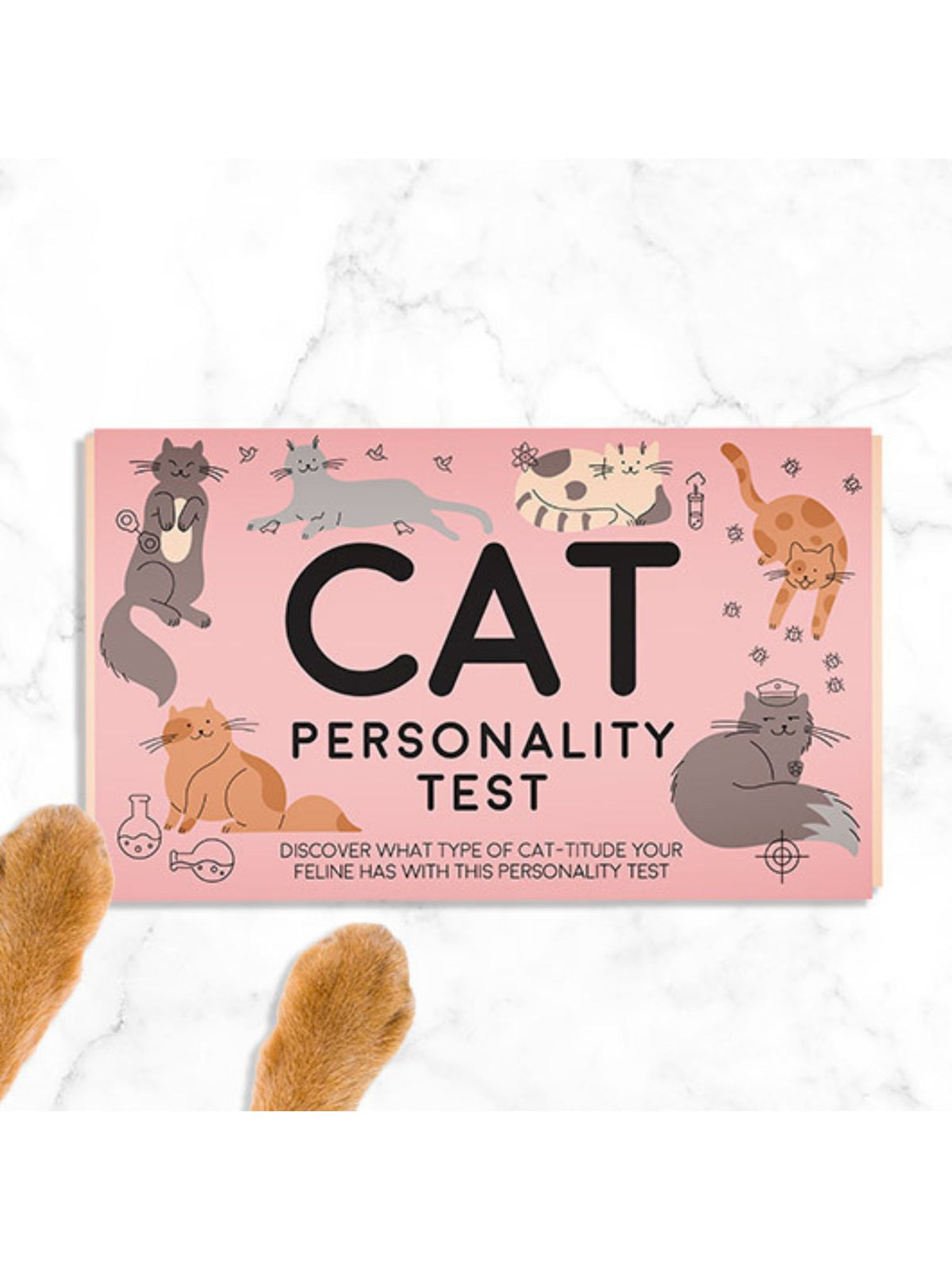 Cat Personality Test