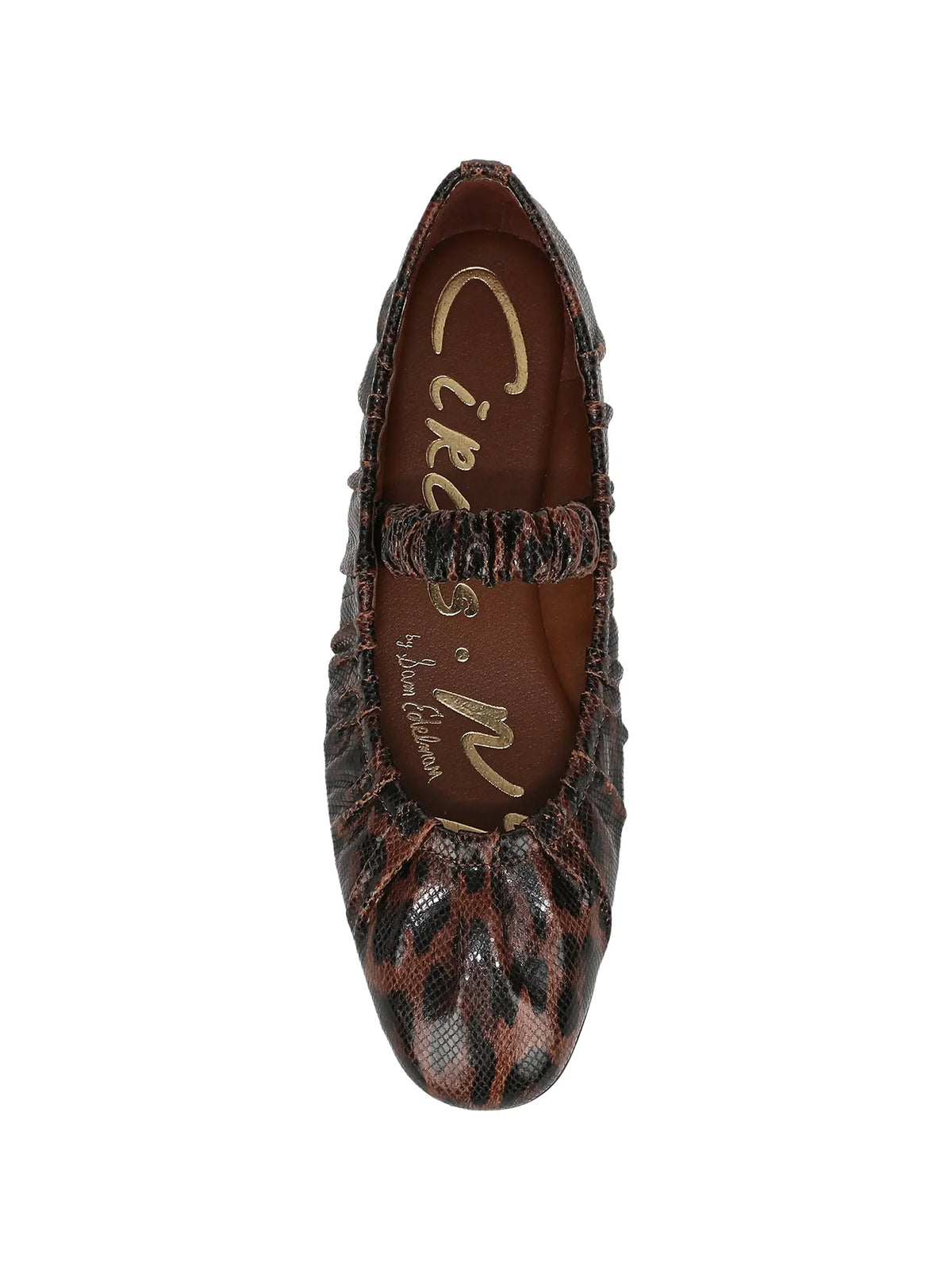 Circus NY by Sam Edelman Blythe Mary Jane Leather Flat Black Ginger Leopard