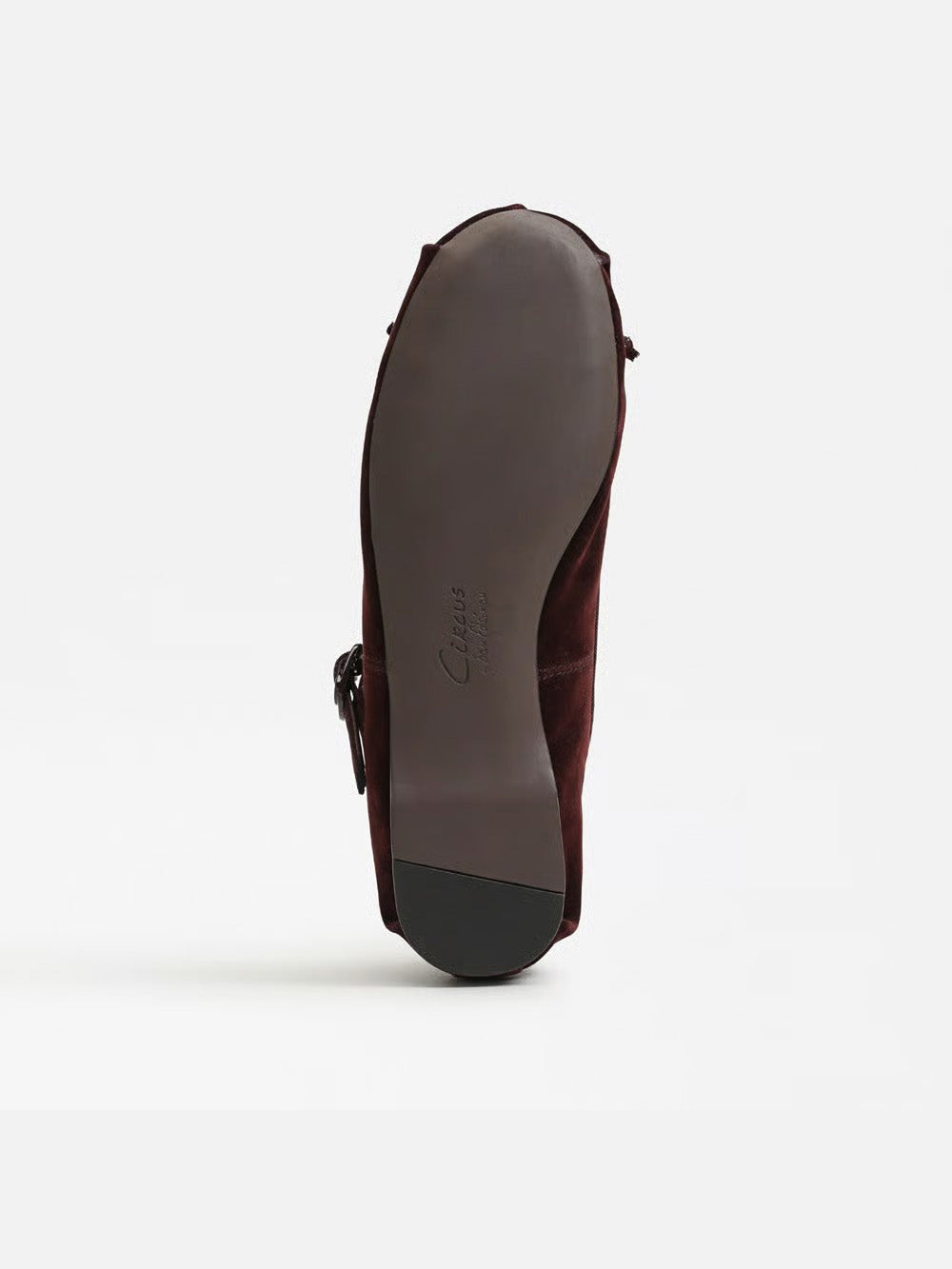 Circus NY by Sam Edelman Zuri Strap Ballet Flat Dark Spiced Plum Velvet