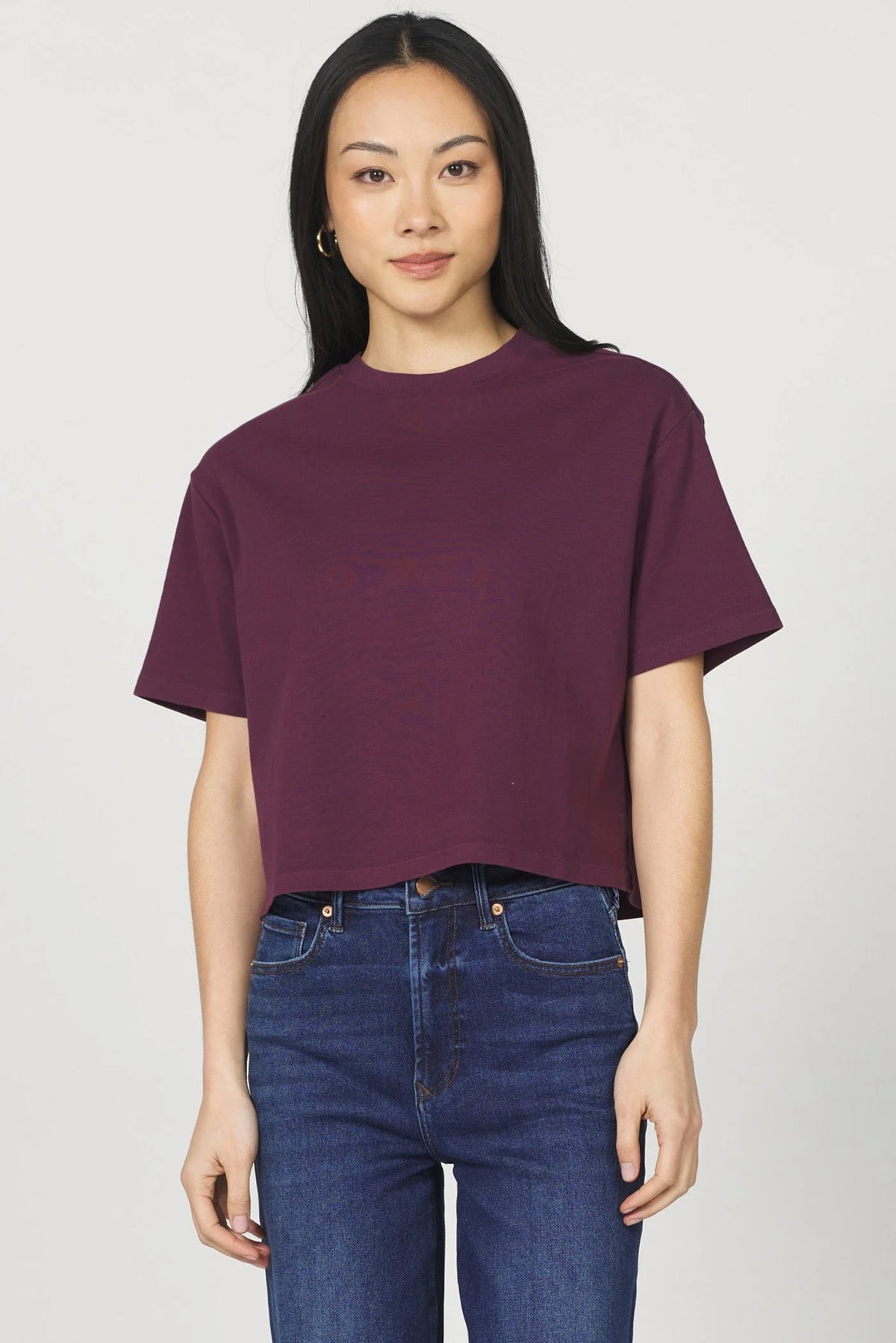 Dear John Denim Maddox Crop Tee in fig