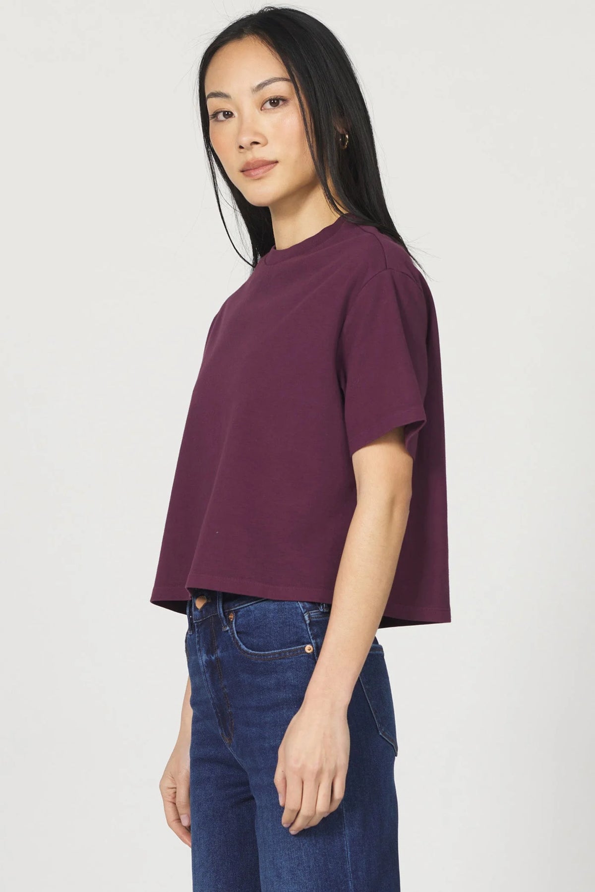 Dear John Denim Maddox Crop Tee in fig