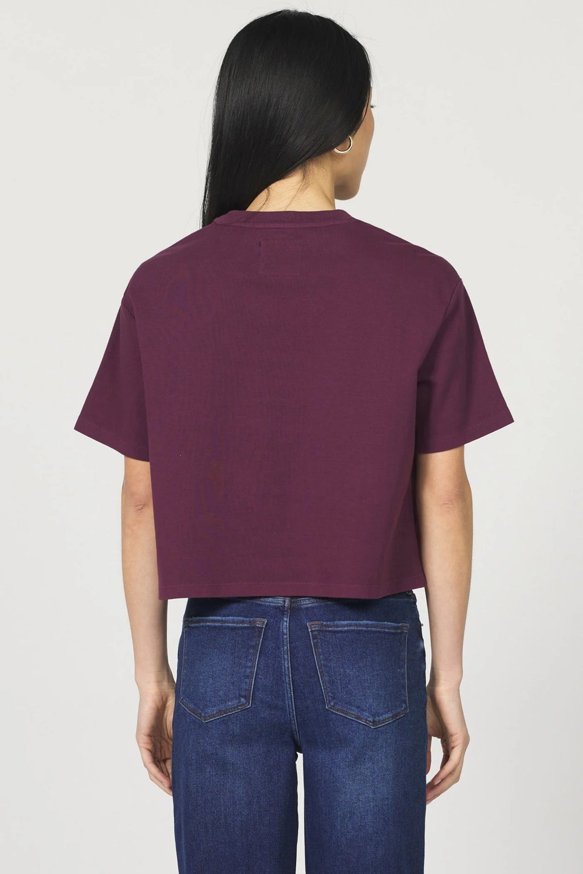 Dear John Denim Maddox Crop Tee in fig
