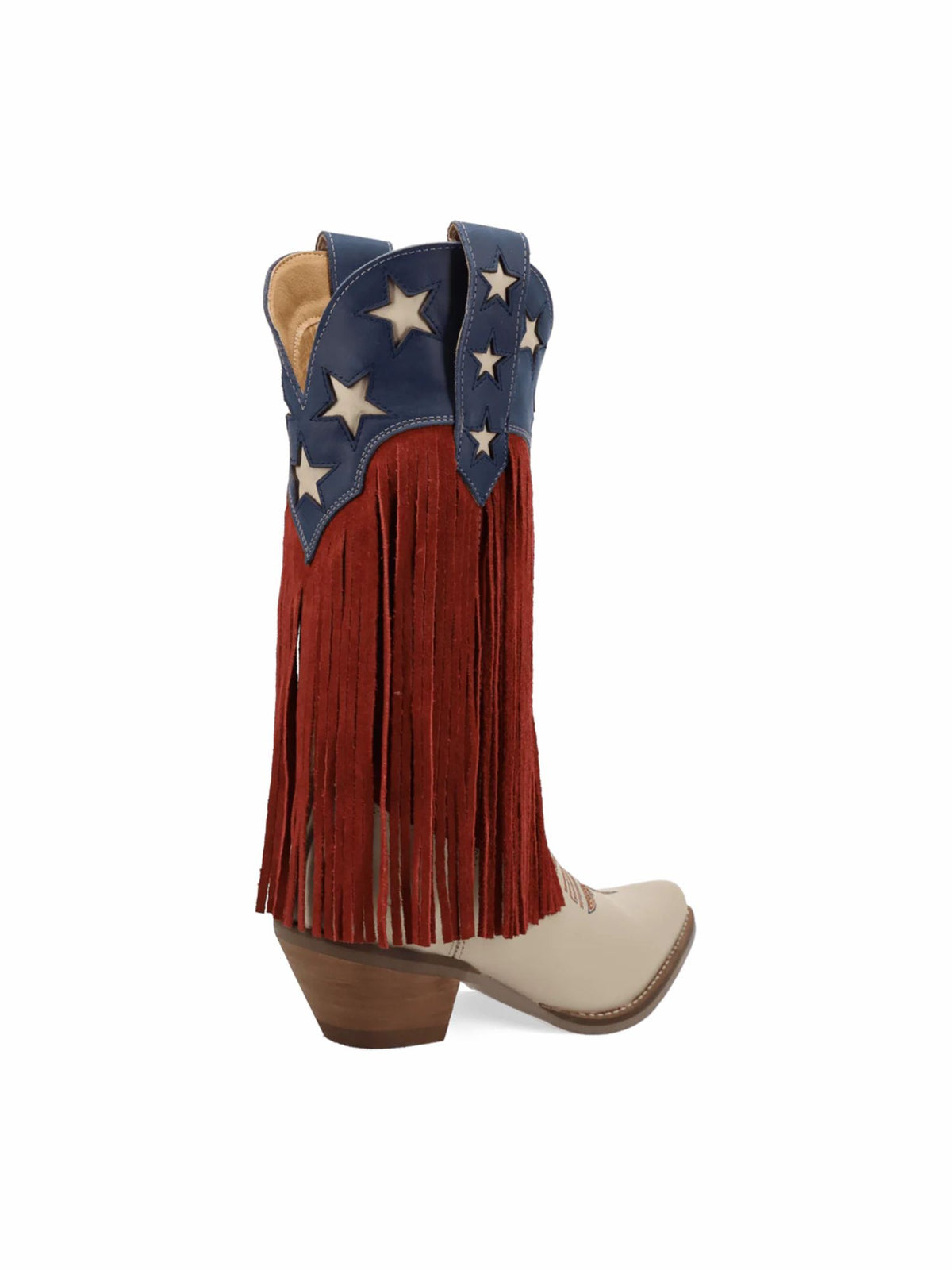 Dingo1969 Wild N' Free Fringe Leather Boot multi color