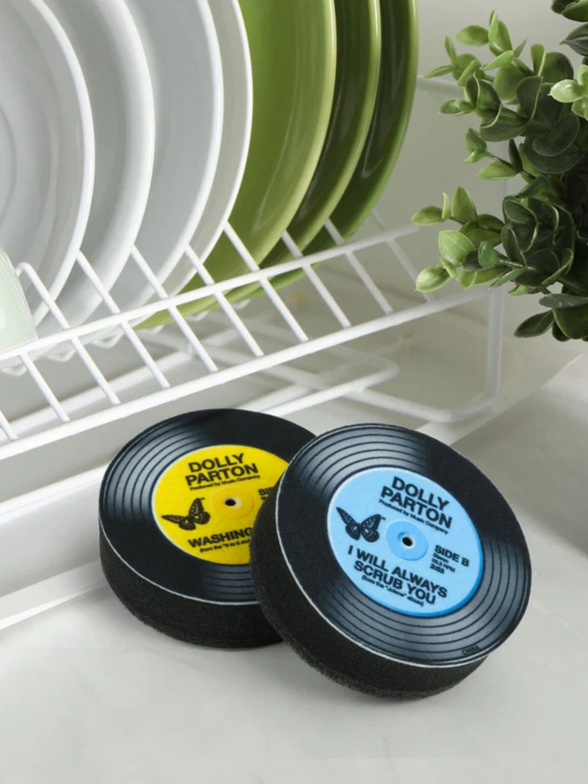 Dolly Records Sponges