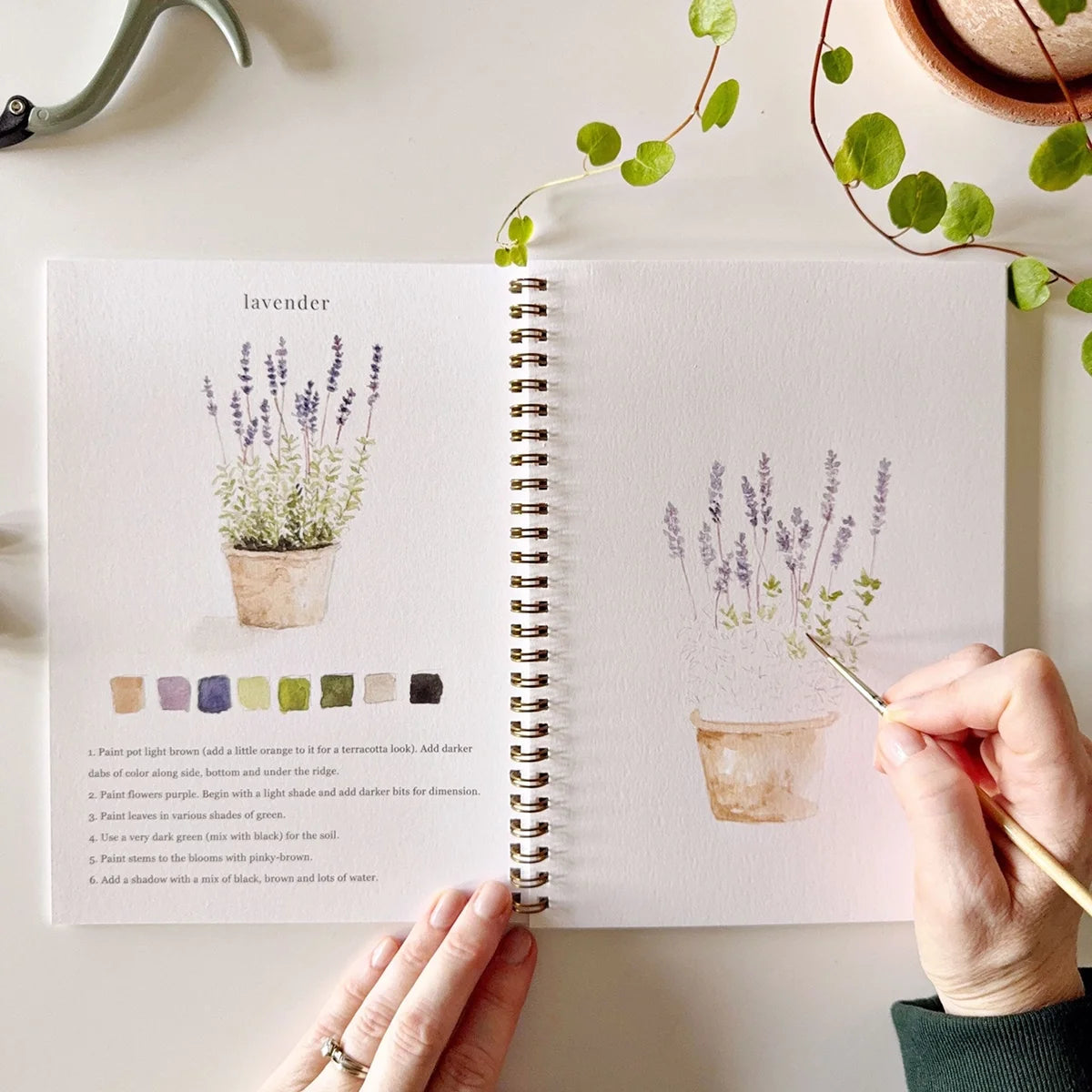 Emily Lex Studio Garden Watercolor Workbook