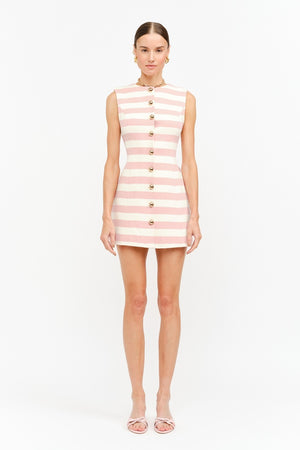 Pink Sands Stripe Mini Dress