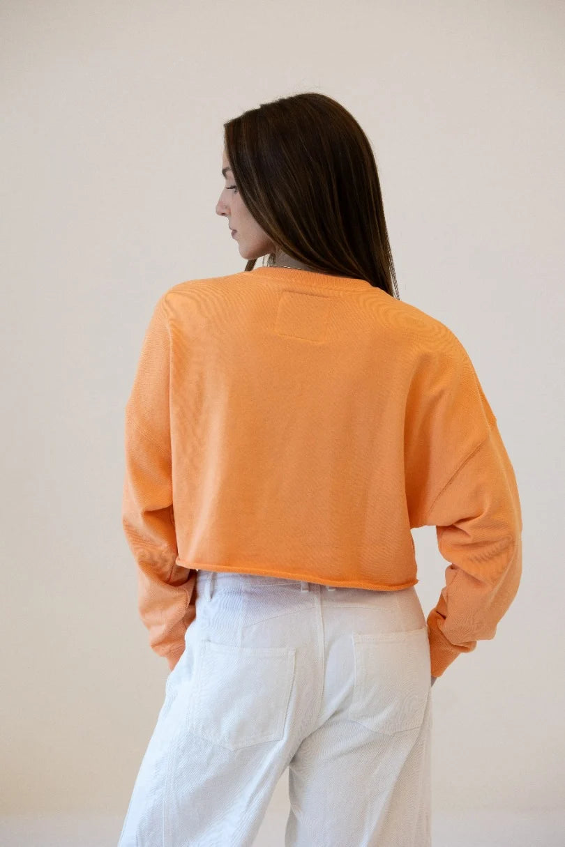 Tennessee Patched Up Cropped Long Sleeve Crewneck Sweatshirt sherbert