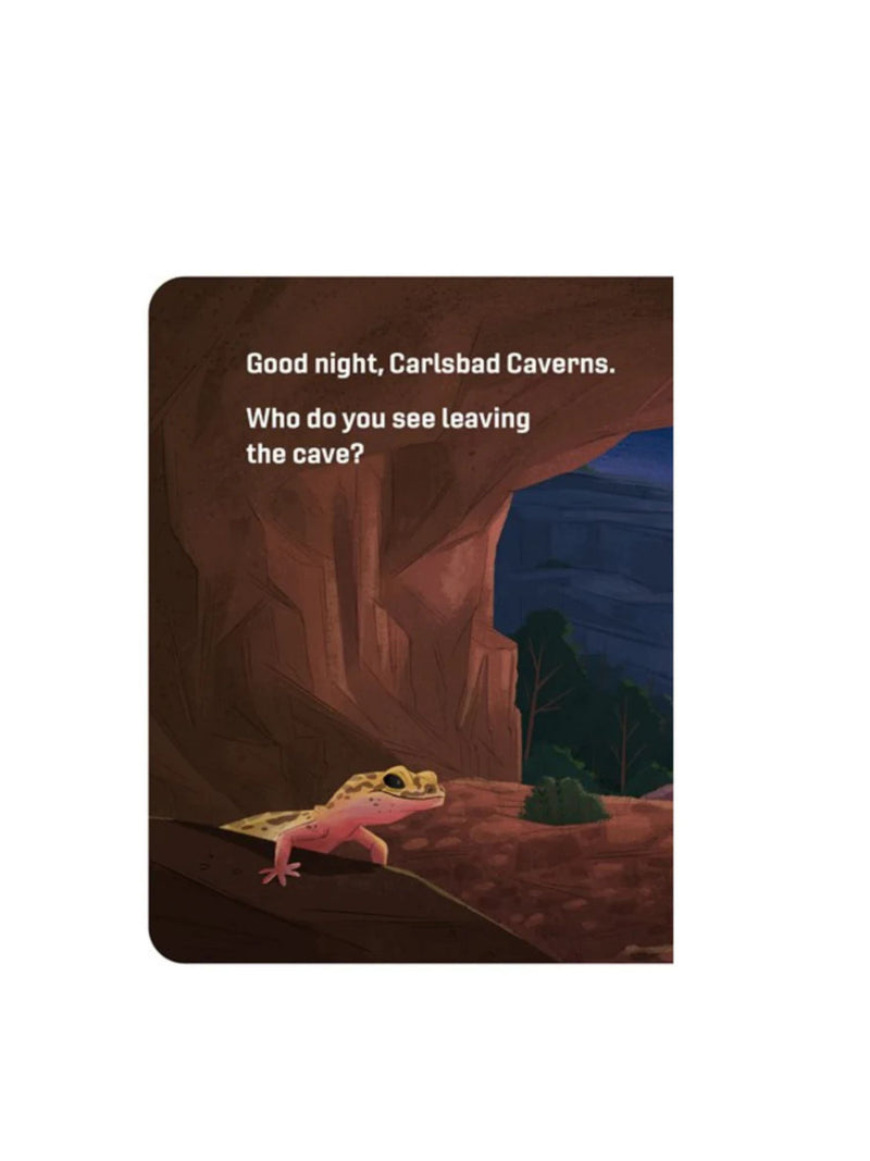 Good Night National Parks Board Book 