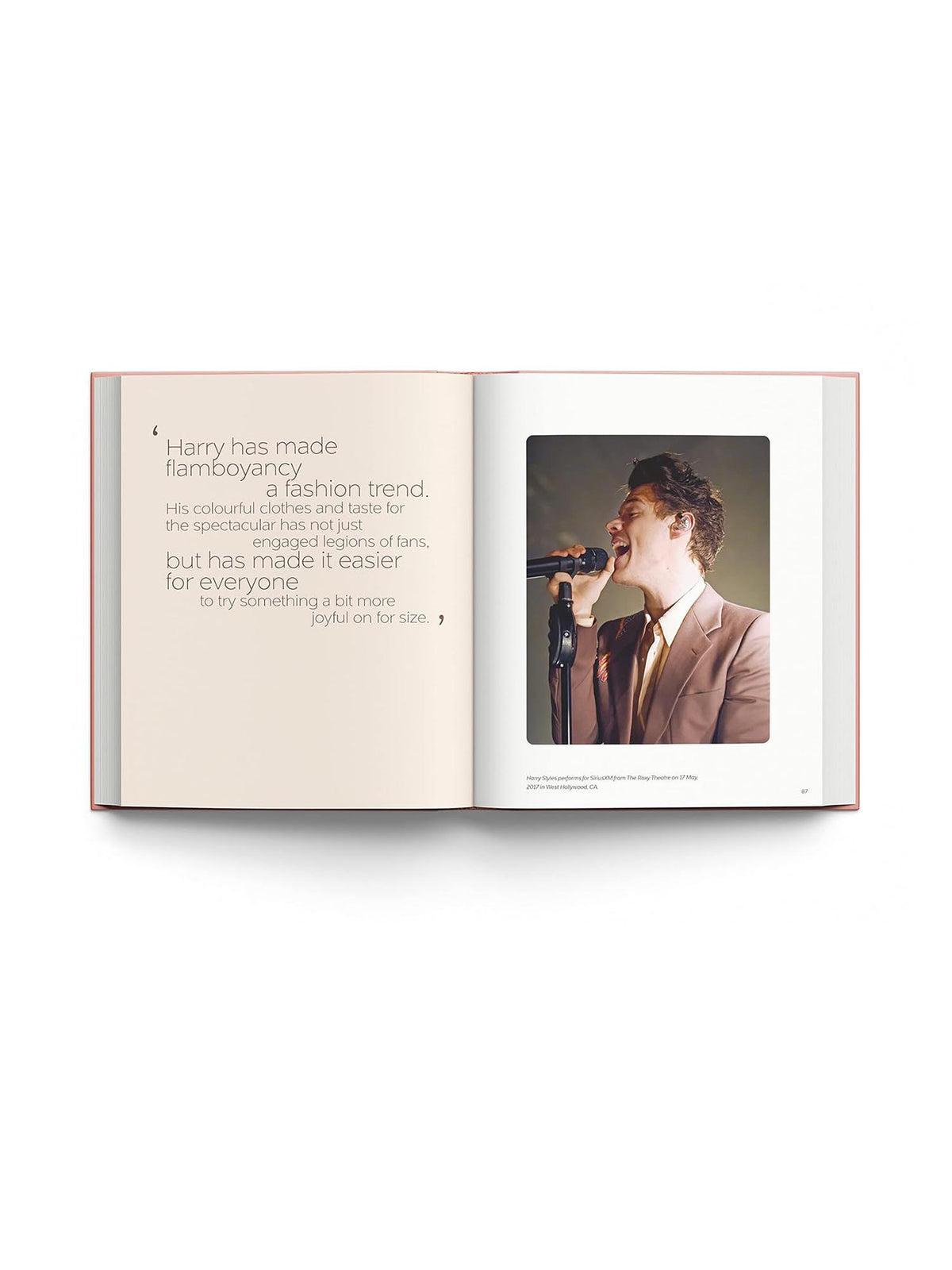 Book: Harry Styles & The Clothes He Wears by Terry Newman