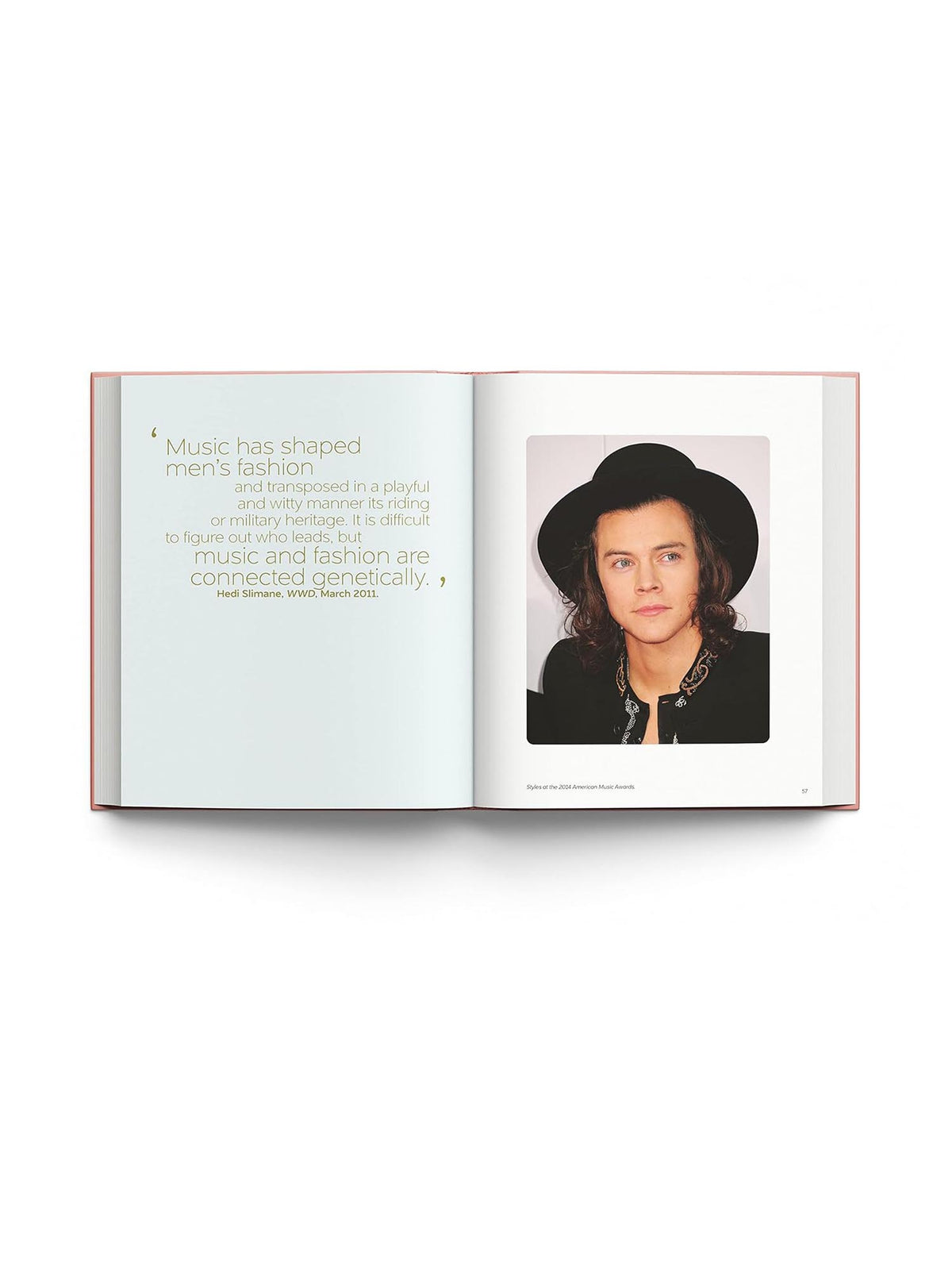 Book: Harry Styles & The Clothes He Wears by Terry Newman