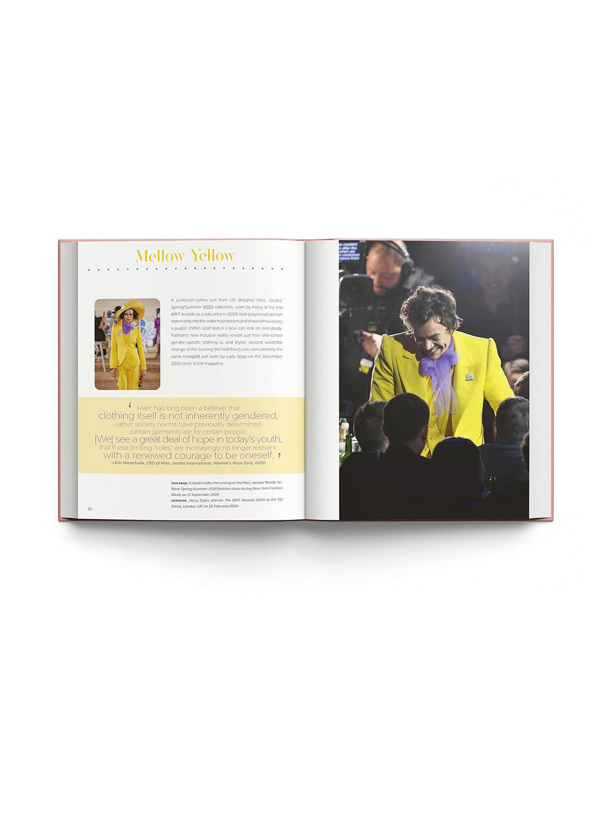 Book: Harry Styles & The Clothes He Wears by Terry Newman