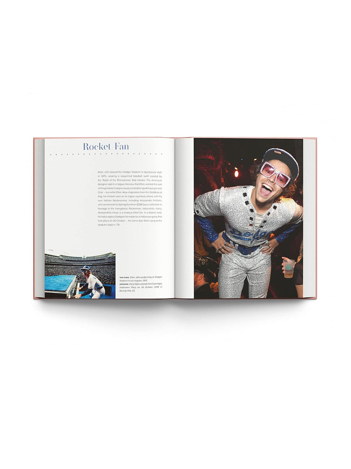 Book: Harry Styles & The Clothes He Wears by Terry Newman