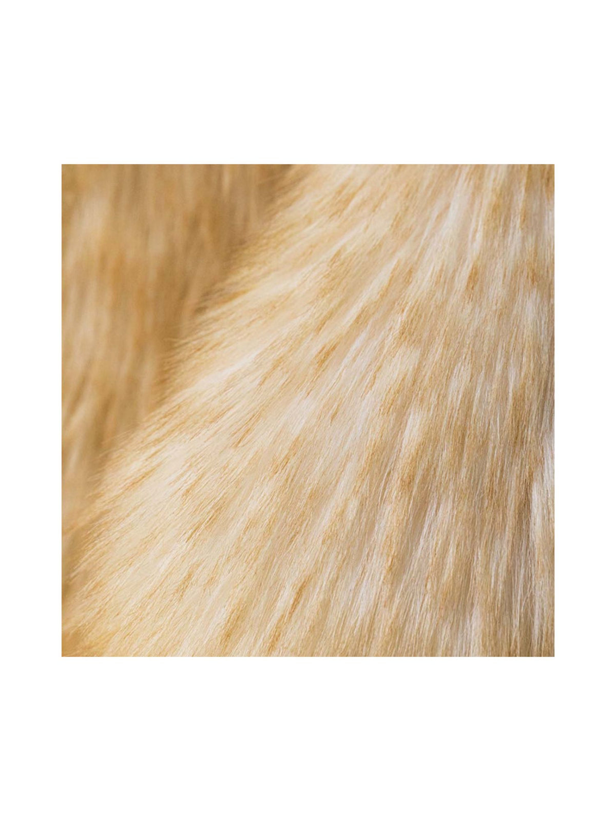 Jellycat Springlowe Luxe Bunny 