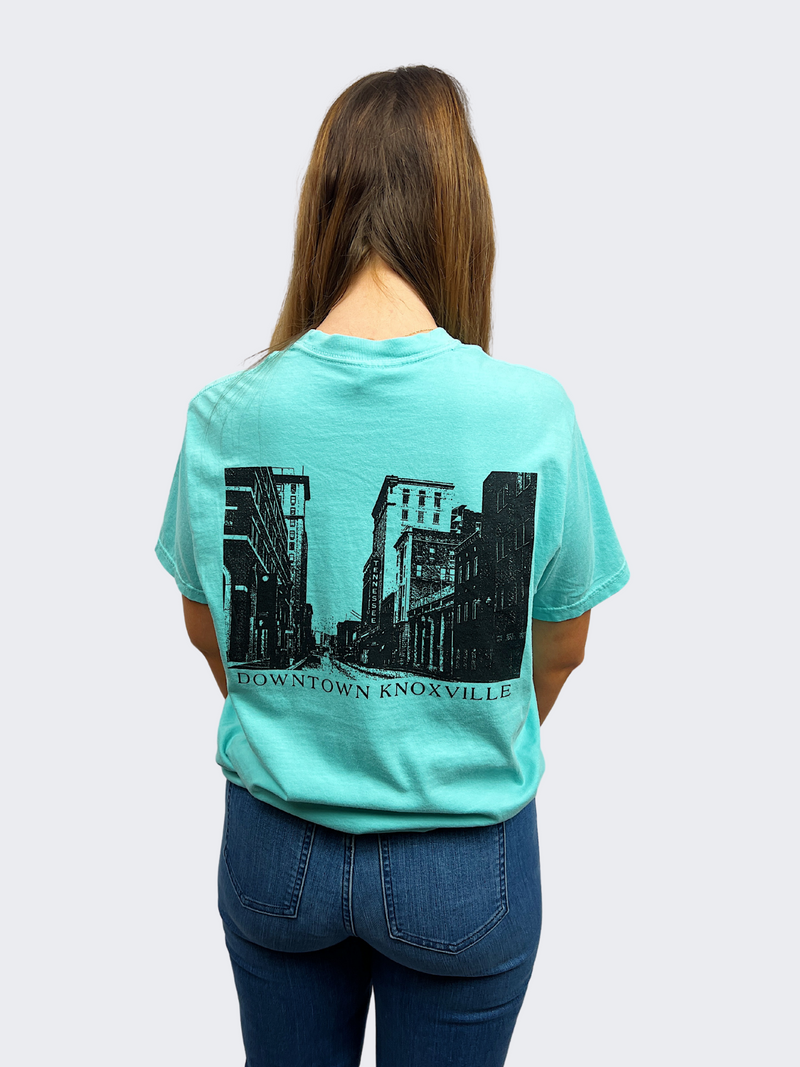 knoxville tennessee comfrot colors tee back view