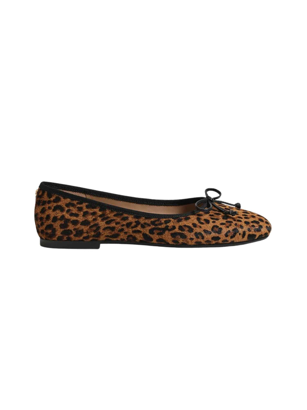 Sam Edelman Alie Ballet Flat Brown Leopard Print