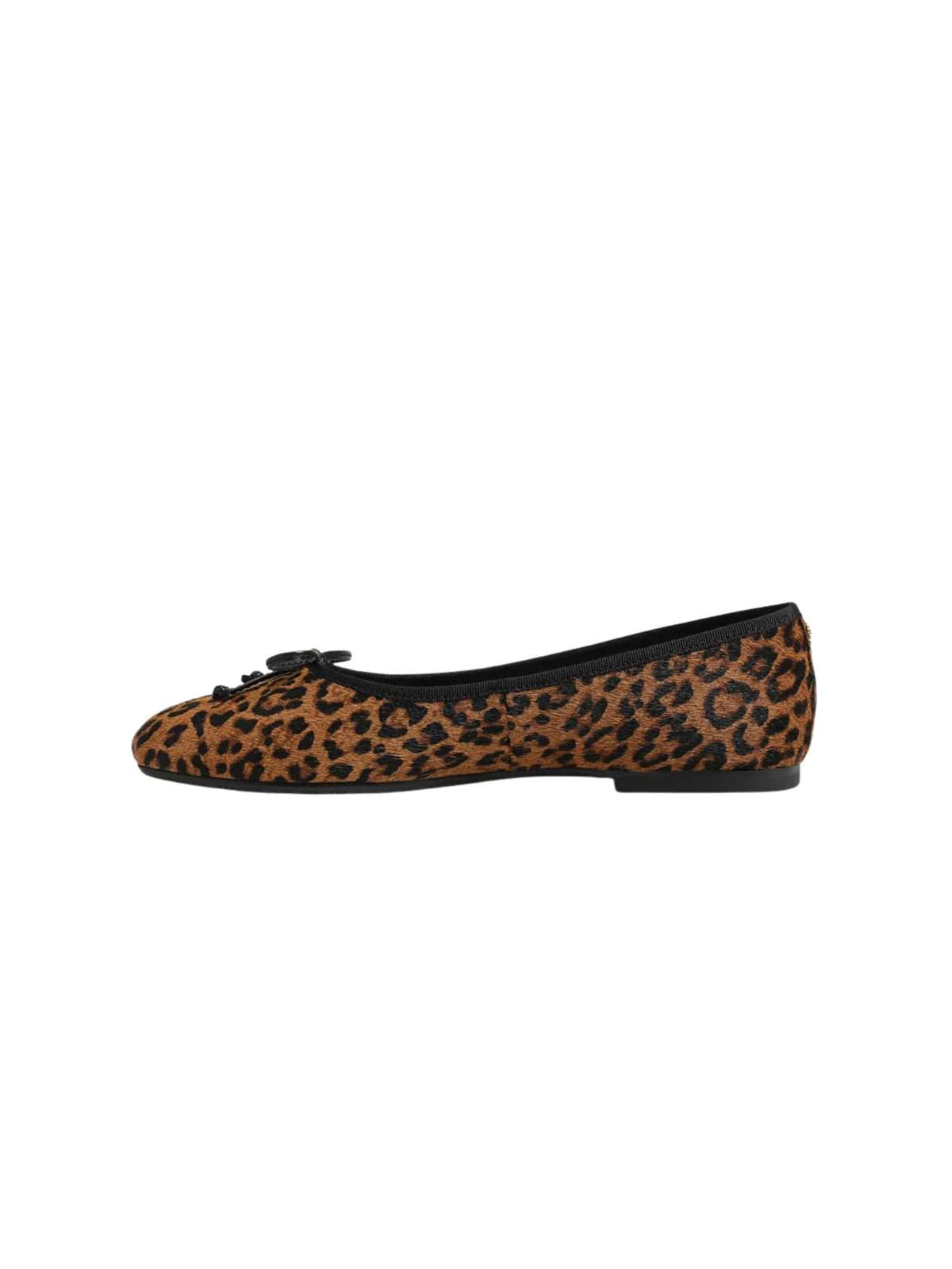 Sam Edelman Alie Ballet Flat Brown Leopard Print