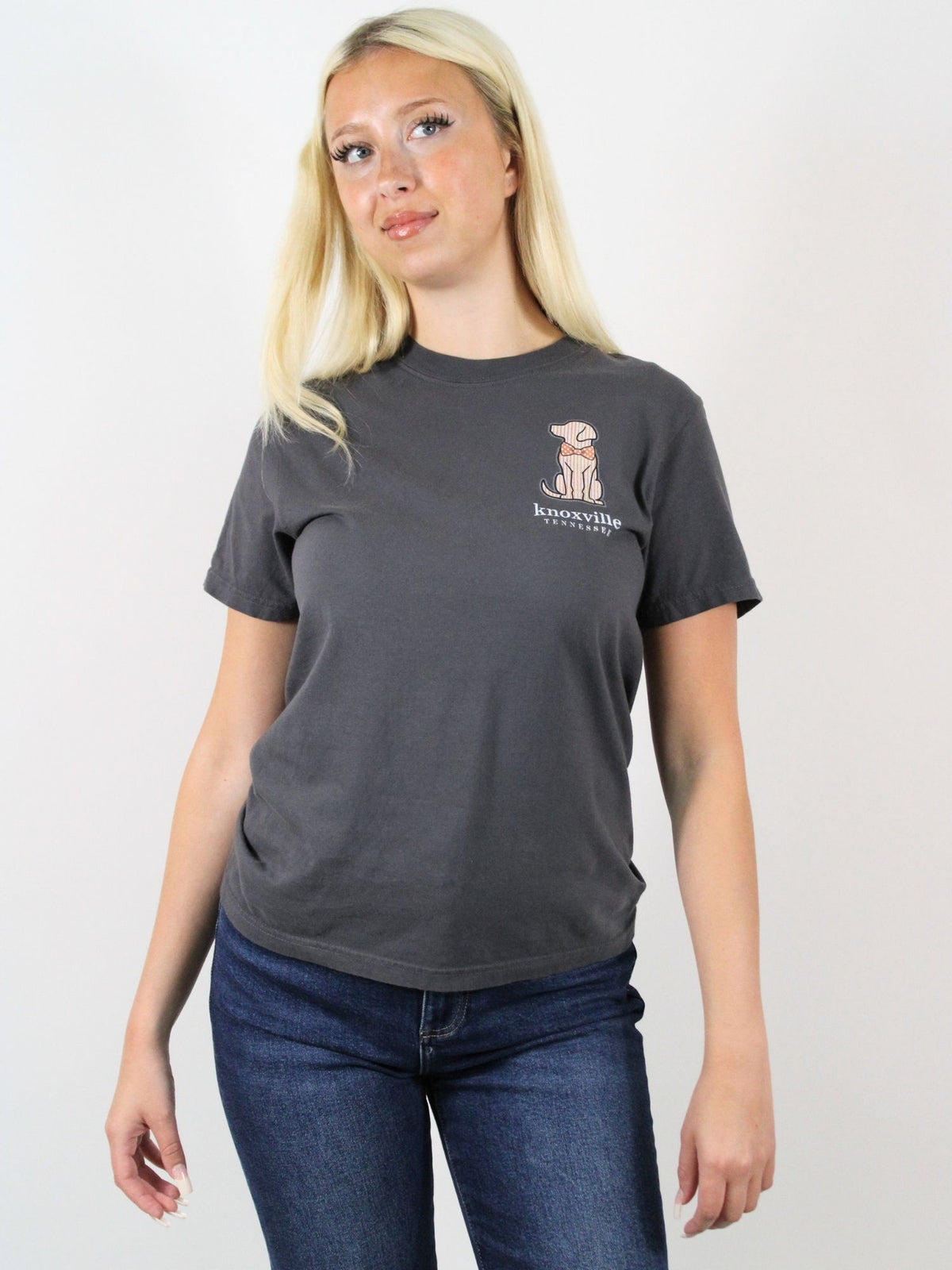 Searsucker Bowtie Dog Tee