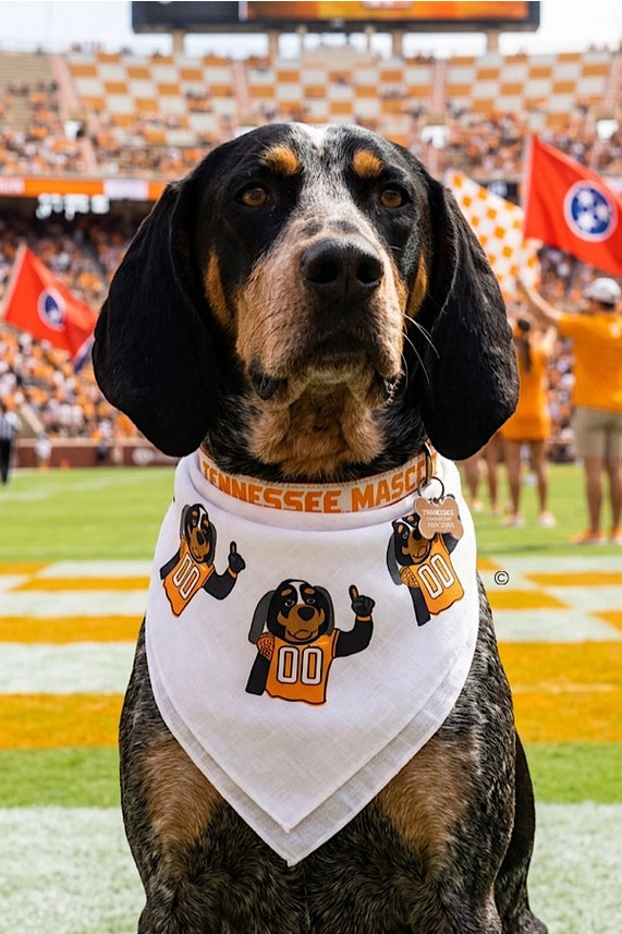 Smokey Bandana  tennessee orange white 