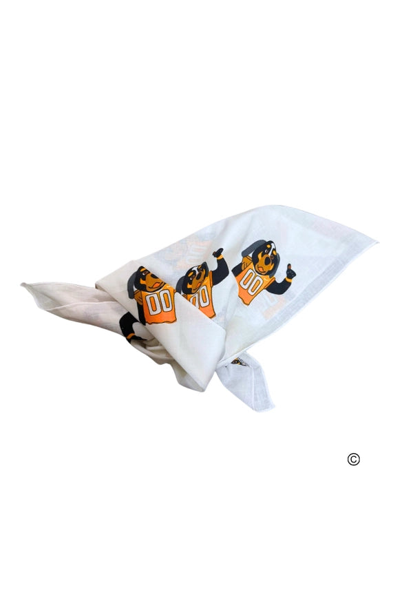 Smokey Bandana  tennessee orange white 