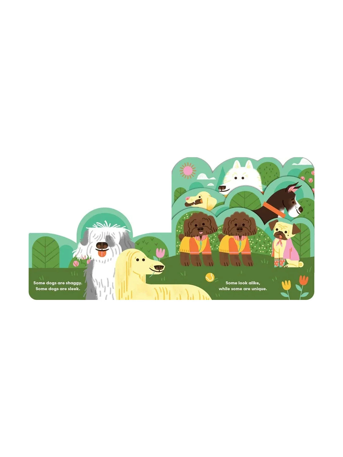 Some Dogs Board Book