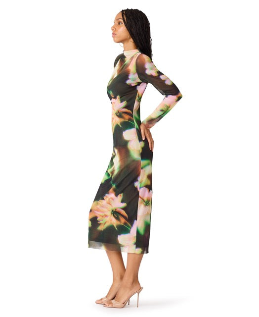 Steve Madden Mo Floral Mesh Midi Dress glow floral 