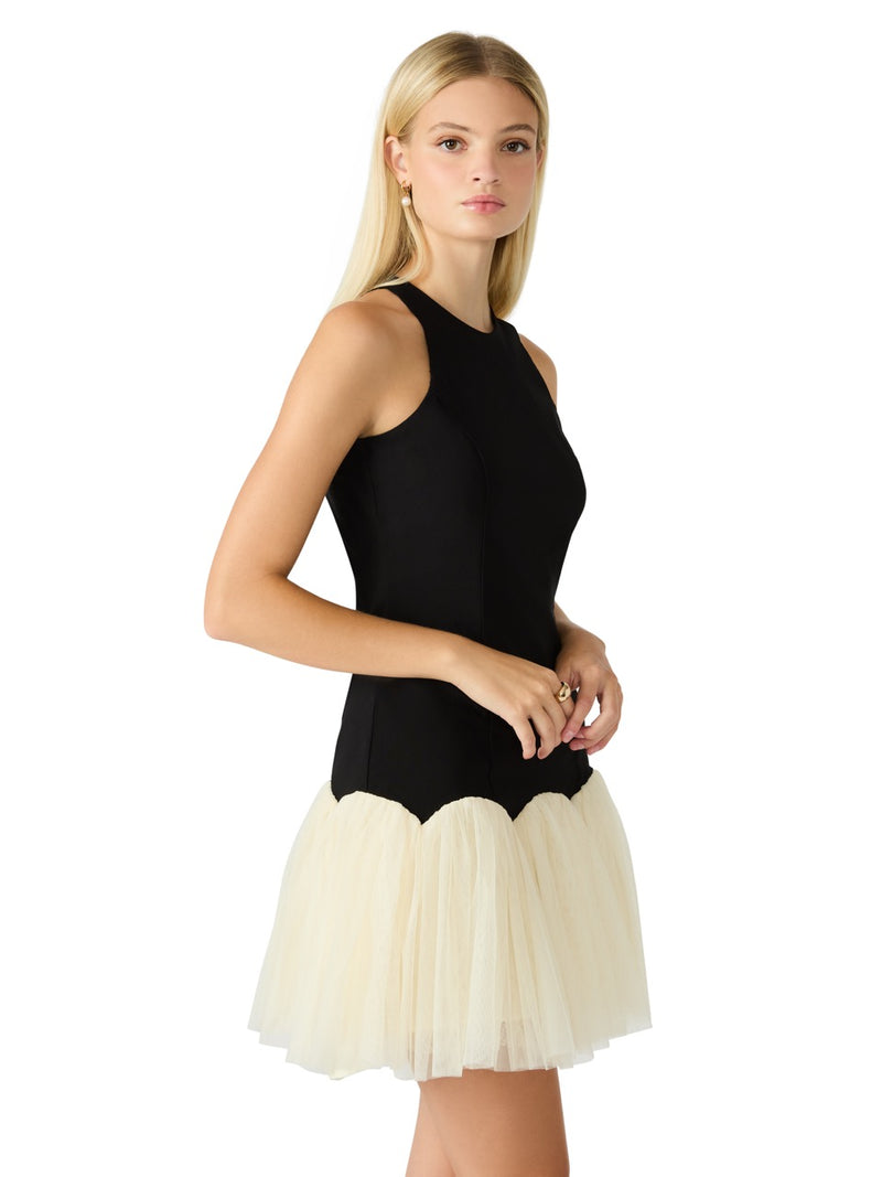 Steve Madden Nohemi Flirty Skirt Dress in black 