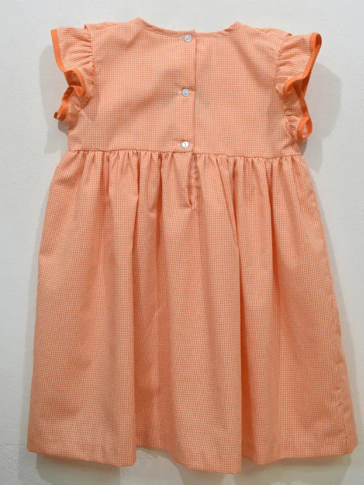 tennesseevolsembroideredorangeginghamruffledress2.webp?0