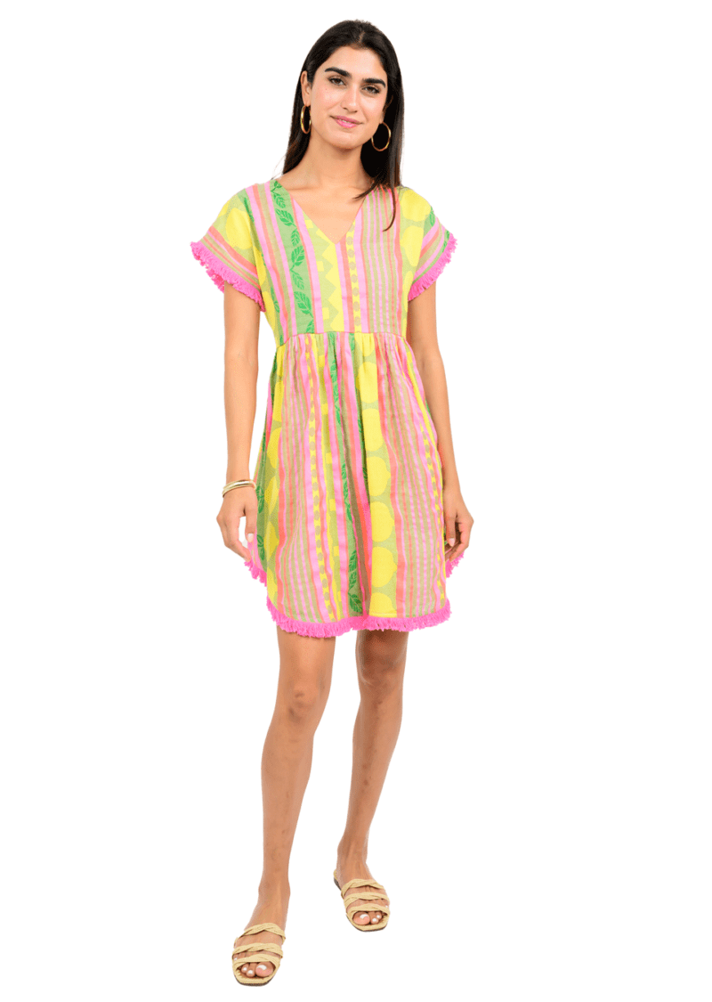 Uncle Frank Lemon Squeeze Mini Dress in multi color